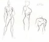 anatomie féminine